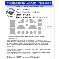 TBM-009 Thunderbird Models...